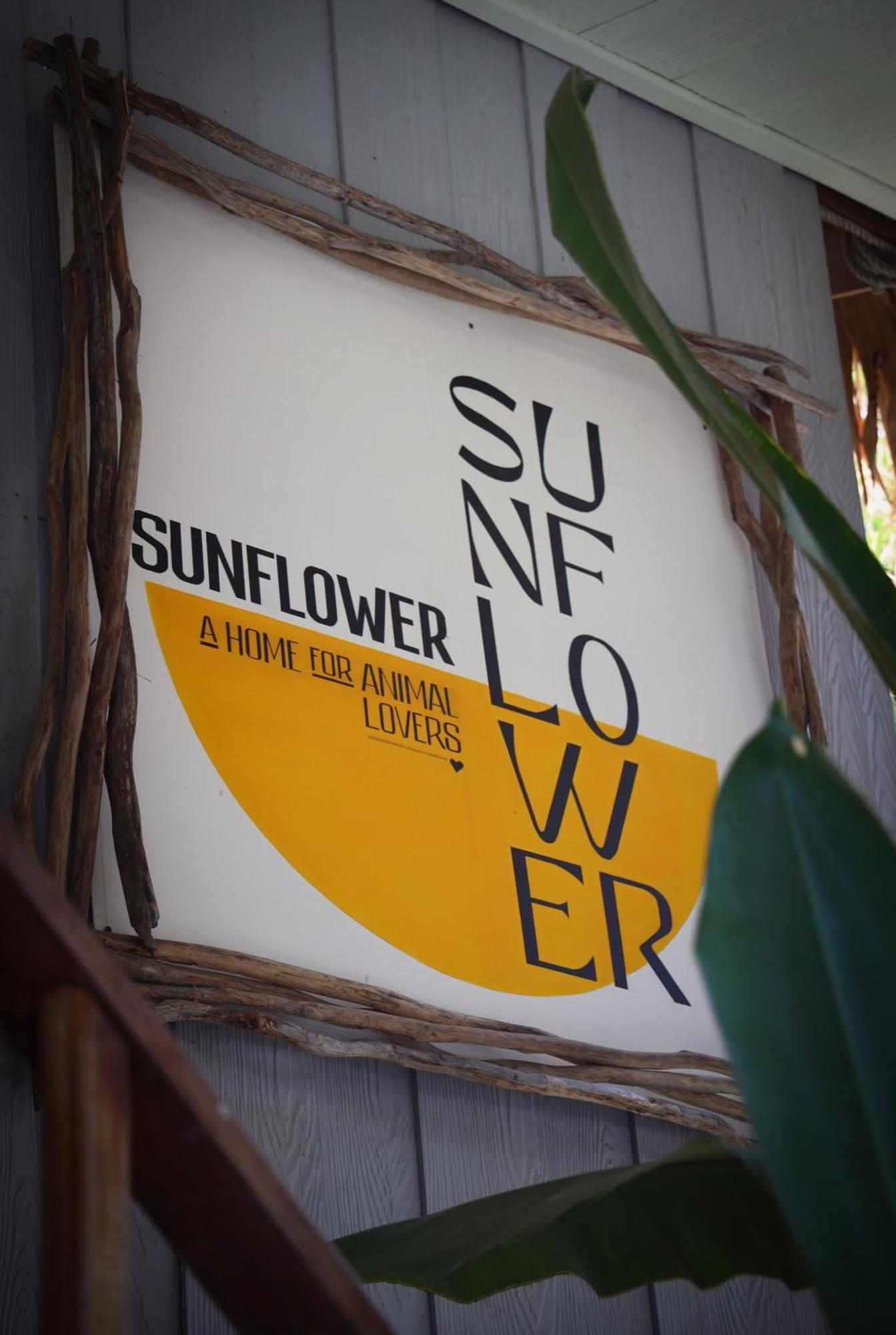 Sunflower Guesthouse And Animal Rescue - Koh Lipe Exterior foto